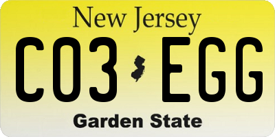 NJ license plate C03EGG