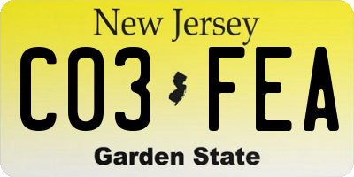 NJ license plate C03FEA