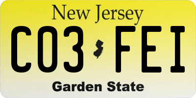 NJ license plate C03FEI