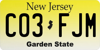 NJ license plate C03FJM
