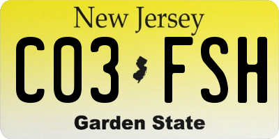 NJ license plate C03FSH
