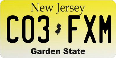 NJ license plate C03FXM