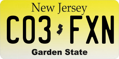 NJ license plate C03FXN