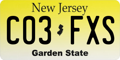NJ license plate C03FXS