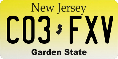 NJ license plate C03FXV