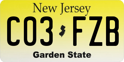 NJ license plate C03FZB