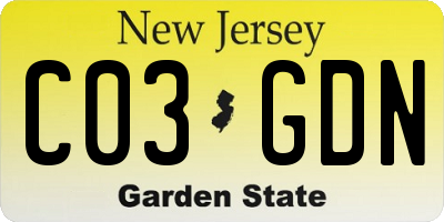 NJ license plate C03GDN