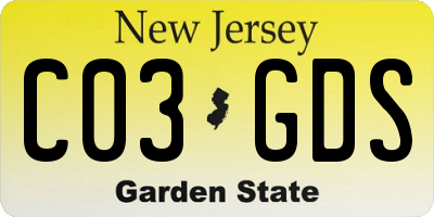 NJ license plate C03GDS