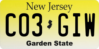 NJ license plate C03GIW