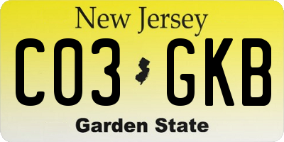 NJ license plate C03GKB
