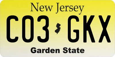 NJ license plate C03GKX