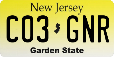 NJ license plate C03GNR
