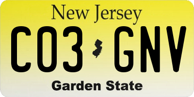 NJ license plate C03GNV