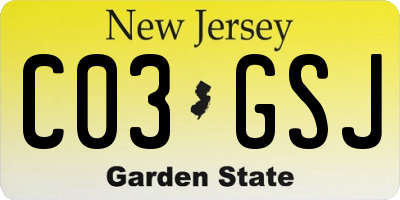 NJ license plate C03GSJ