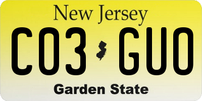 NJ license plate C03GUO