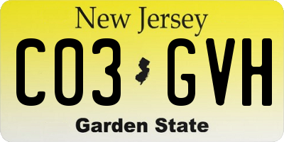 NJ license plate C03GVH