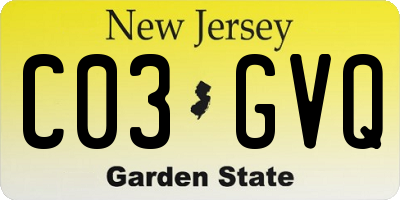 NJ license plate C03GVQ