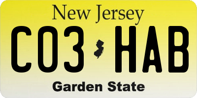 NJ license plate C03HAB