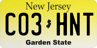 NJ license plate C03HNT