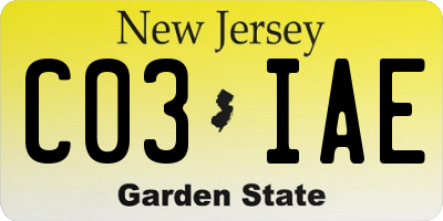 NJ license plate C03IAE