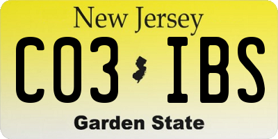 NJ license plate C03IBS