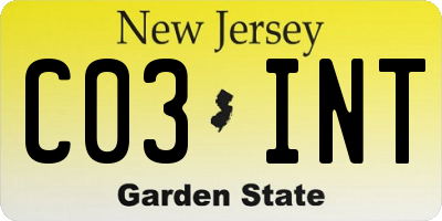 NJ license plate C03INT
