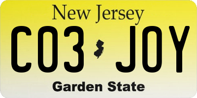 NJ license plate C03JOY