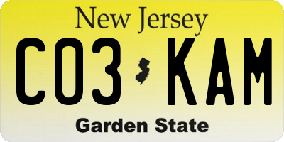 NJ license plate C03KAM