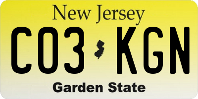 NJ license plate C03KGN