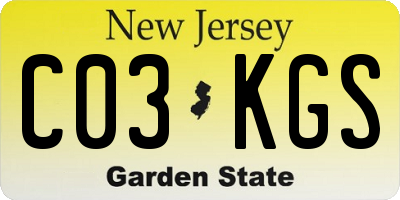 NJ license plate C03KGS