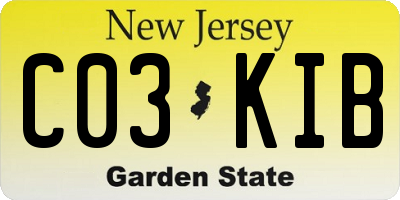 NJ license plate C03KIB