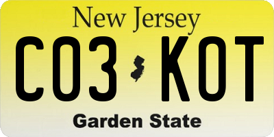 NJ license plate C03KOT