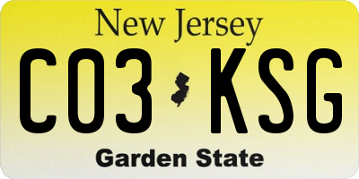 NJ license plate C03KSG