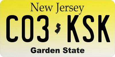 NJ license plate C03KSK