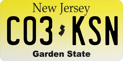 NJ license plate C03KSN