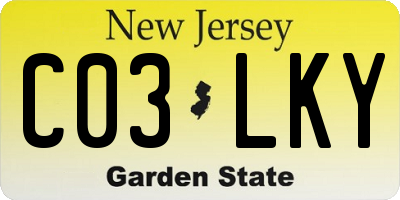 NJ license plate C03LKY