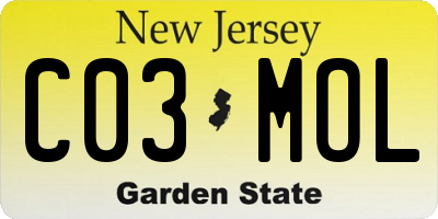 NJ license plate C03MOL