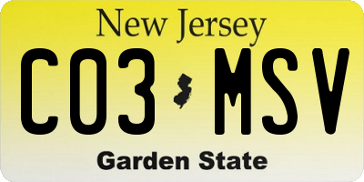 NJ license plate C03MSV