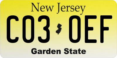 NJ license plate C03OEF