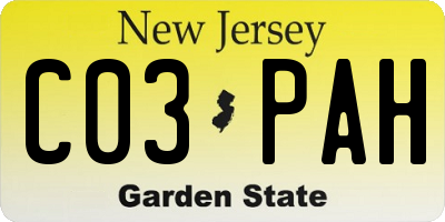 NJ license plate C03PAH