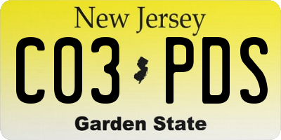 NJ license plate C03PDS