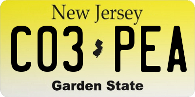 NJ license plate C03PEA