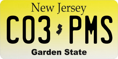 NJ license plate C03PMS
