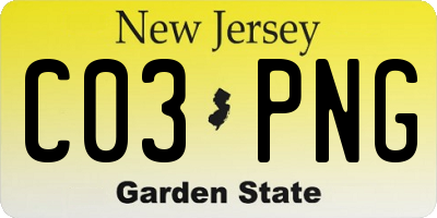 NJ license plate C03PNG