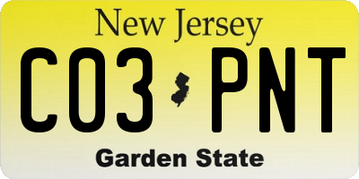 NJ license plate C03PNT