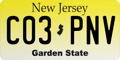 NJ license plate C03PNV