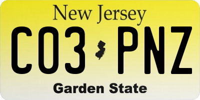 NJ license plate C03PNZ