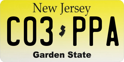 NJ license plate C03PPA