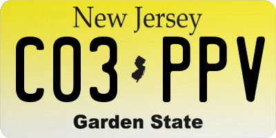 NJ license plate C03PPV