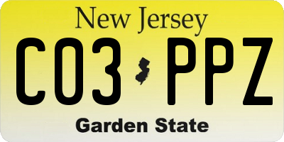 NJ license plate C03PPZ